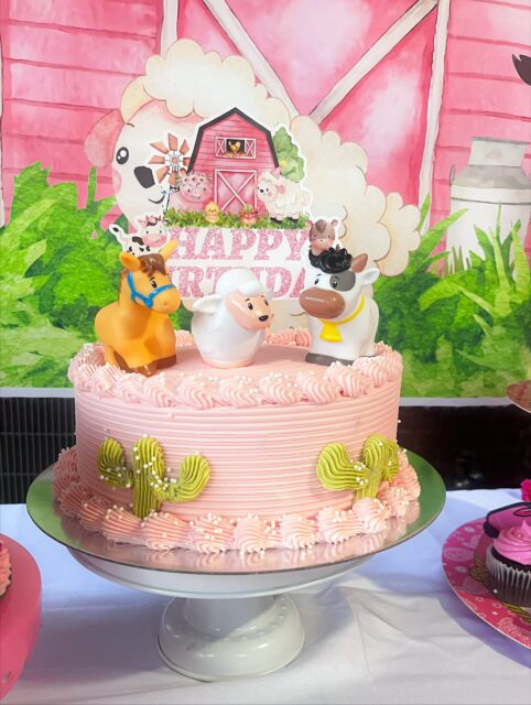 For my niece π
#dallascakes #cakedecorating #cakedecorator #dallastxcakes #dallastxbaker #farmcakes #farmbirthday #firstrodeobirthday